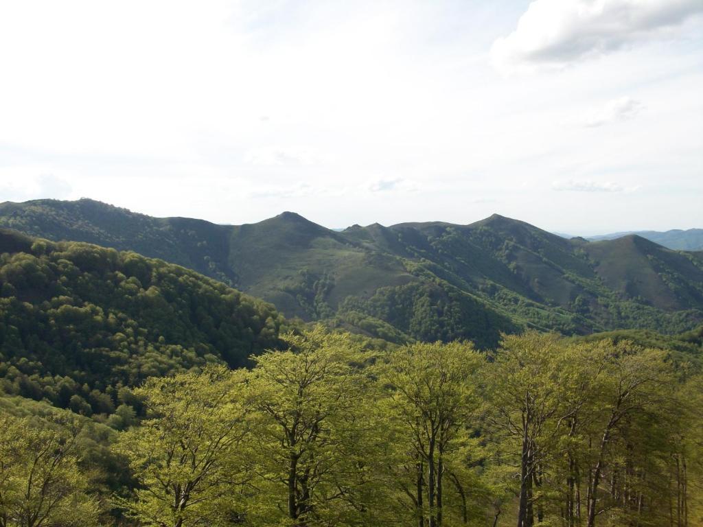 Hostal Rural Arrobi Borda Eugi Exterior foto